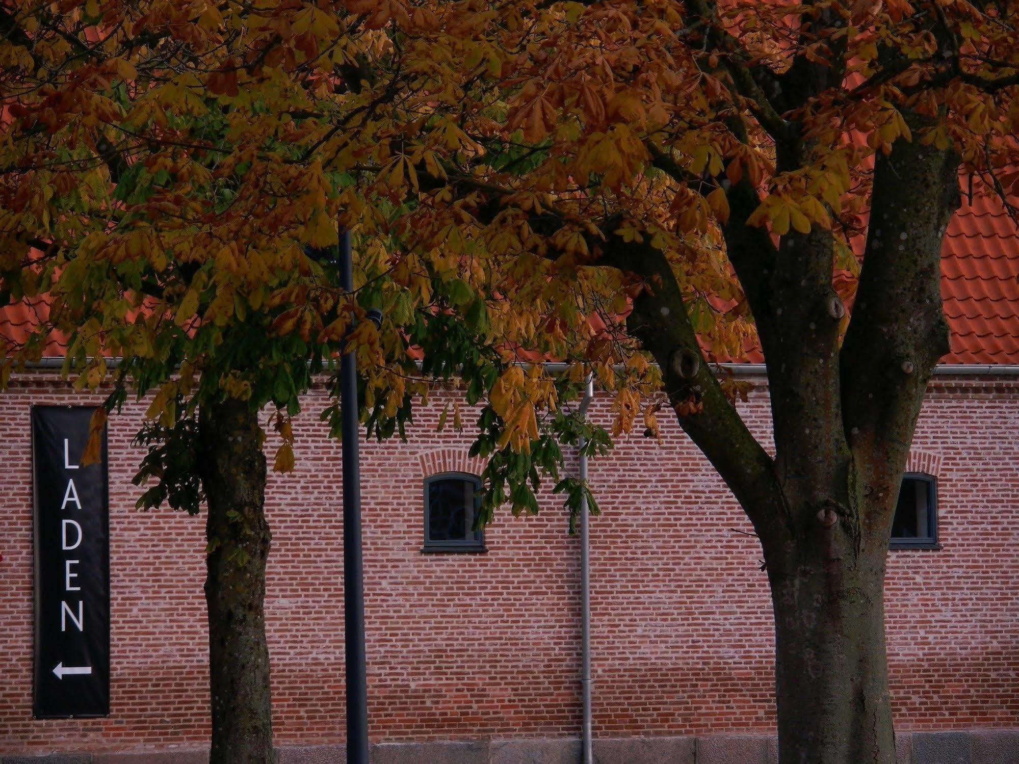 Hindsgavl Slot Middelfart Exterior foto